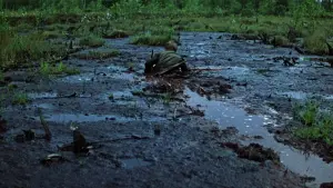 Задник к фильму "Иди и смотри" #174969