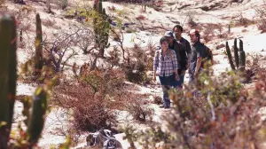 Задник к фильму "Пустыня" #304242