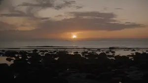 Задник к фильму "Дюна" #529650