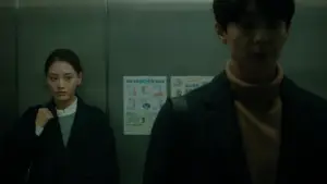 Задник к фильму "Цветы плесени" #766237