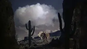 Задник к фильму "3 крестных отца" #693502