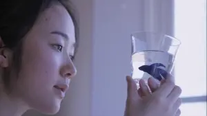 Задник к фильму "Невеста Рип ван Винкля" #428948