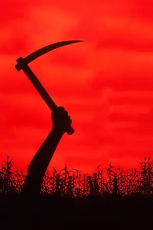 Постер к фильму "Дети кукурузы" #331650