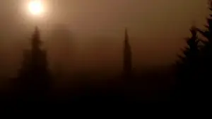 Задник к фильму "Сухой лист" #623398