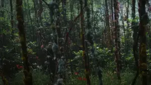 Задник к фильму "Аннигиляция" #618584