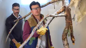 Задник к фильму "" #700275