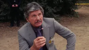 Задник к фильму "За десять минут до полуночи" #378032