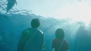 Задник к фильму "" #631773