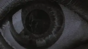 Задник к фильму "Донни Дарко" #528312