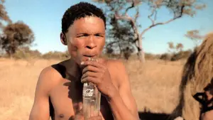 Задник к фильму "Боги, наверное, сошли с ума" #722286