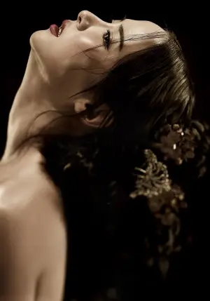 Постер к фильму "Наложница" #745575