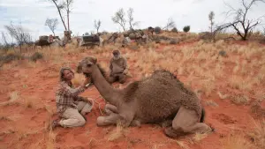 Задник к фильму "Тропы" #253942