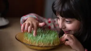 Задник к фильму "" #365542