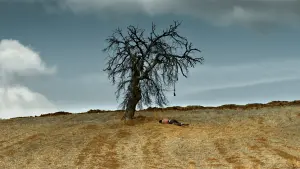 Задник к фильму "Дикая груша" #451600