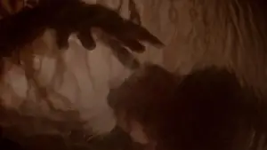 Задник к фильму "Похитители тел" #648312