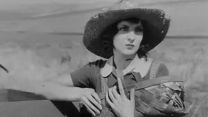 Задник к фильму "Городская девчонка" #496429