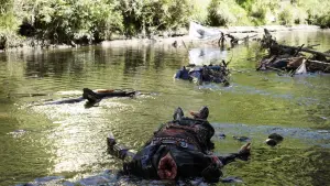 Задник к фильму "" #490085