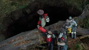 Задник к фильму "Спуск" #532028