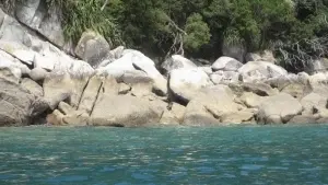 Задник к фильму "Глаз бури" #458040