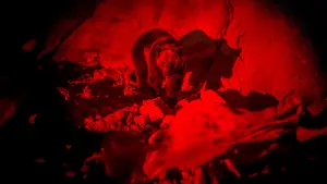 Задник к фильму "Гризли" #609181