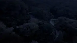 Задник к фильму "" #534045