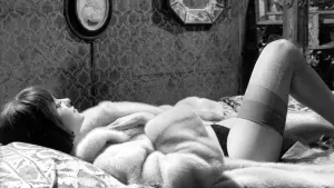 Задник к фильму "Венера в мехах" #502413