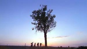 Задник к фильму "Тридцать семь и два по утрам" #485166