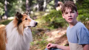 Задник к фильму "Лесси. Лохматый детектив" #479504