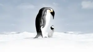 Задник к фильму "Марш пингвинов" #380319