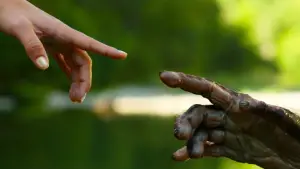 Задник к фильму "Люси" #580055