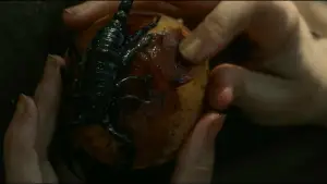 Задник к фильму "Сын плотника" #524760