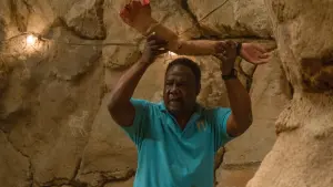 Задник к фильму "Корпоративные животные" #408308