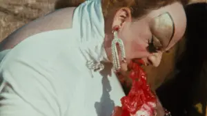 Задник к фильму "Розовые фламинго" #612063