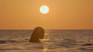 Задник к фильму "Русалочка" #578309