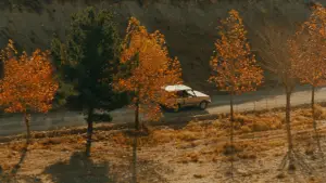 Задник к фильму "Вкус вишни" #695684