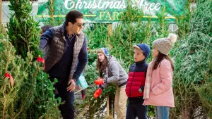 Задник к фильму "Рождество по соседству" #423301