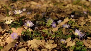 Задник к фильму "" #467620