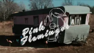 Задник к фильму "Розовые фламинго" #612040