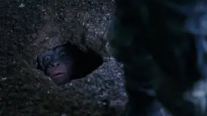 Задник к фильму "Планета обезьян: Война" #585956