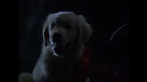 Задник к фильму "" #646953