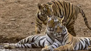 Задник к фильму "" #442910