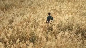 Задник к фильму "Декодер. Игра гения" #679598