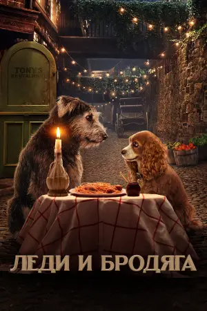 Постер к фильму "Леди и Бродяга" #693737