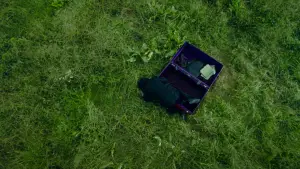 Задник к фильму "Олдбой" #517063