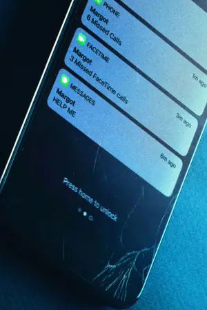 Постер к фильму "Поиск" #655086