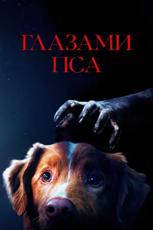 Постер к фильму "Хороший мальчик" #517414