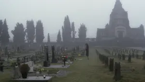 Задник к фильму "Макабро" #496841