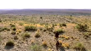 Задник к фильму "Нефть" #624117