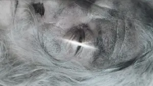 Задник к фильму "Властелин колец: Две крепости" #516316