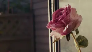 Задник к фильму "" #639486